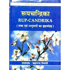 Rup Candrika by Dr. Bharama nand Tripathi in Sanskrit (रूपचन्द्रिका)